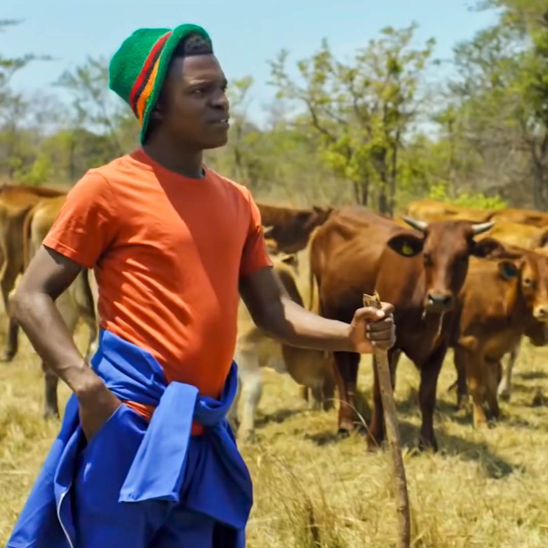 African farmer in field