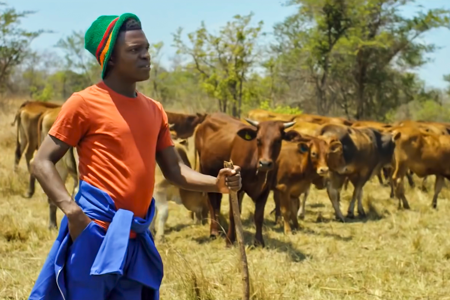 African farmer in field