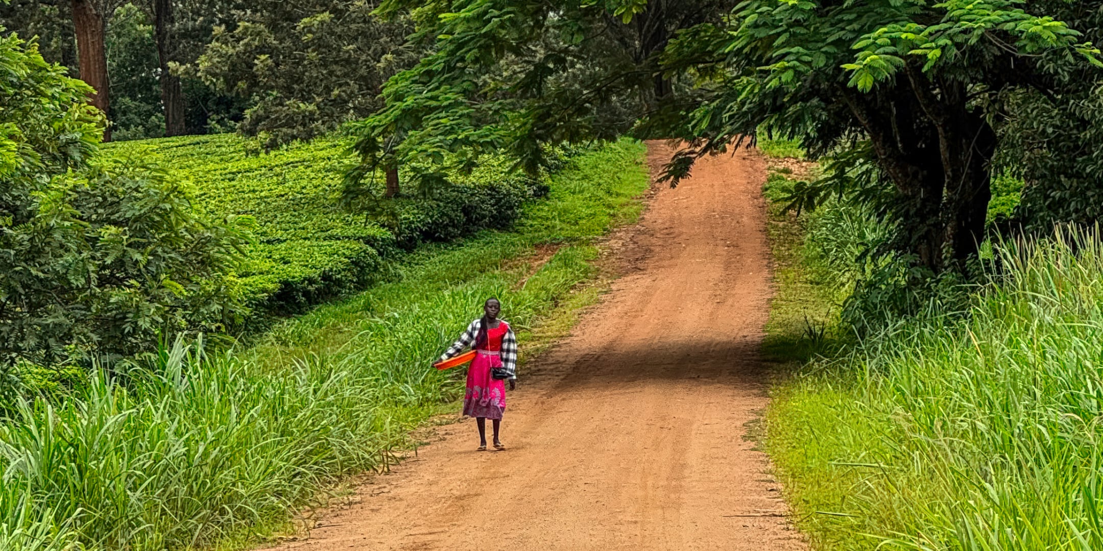 Woman walking down a country road surrounded by greenery