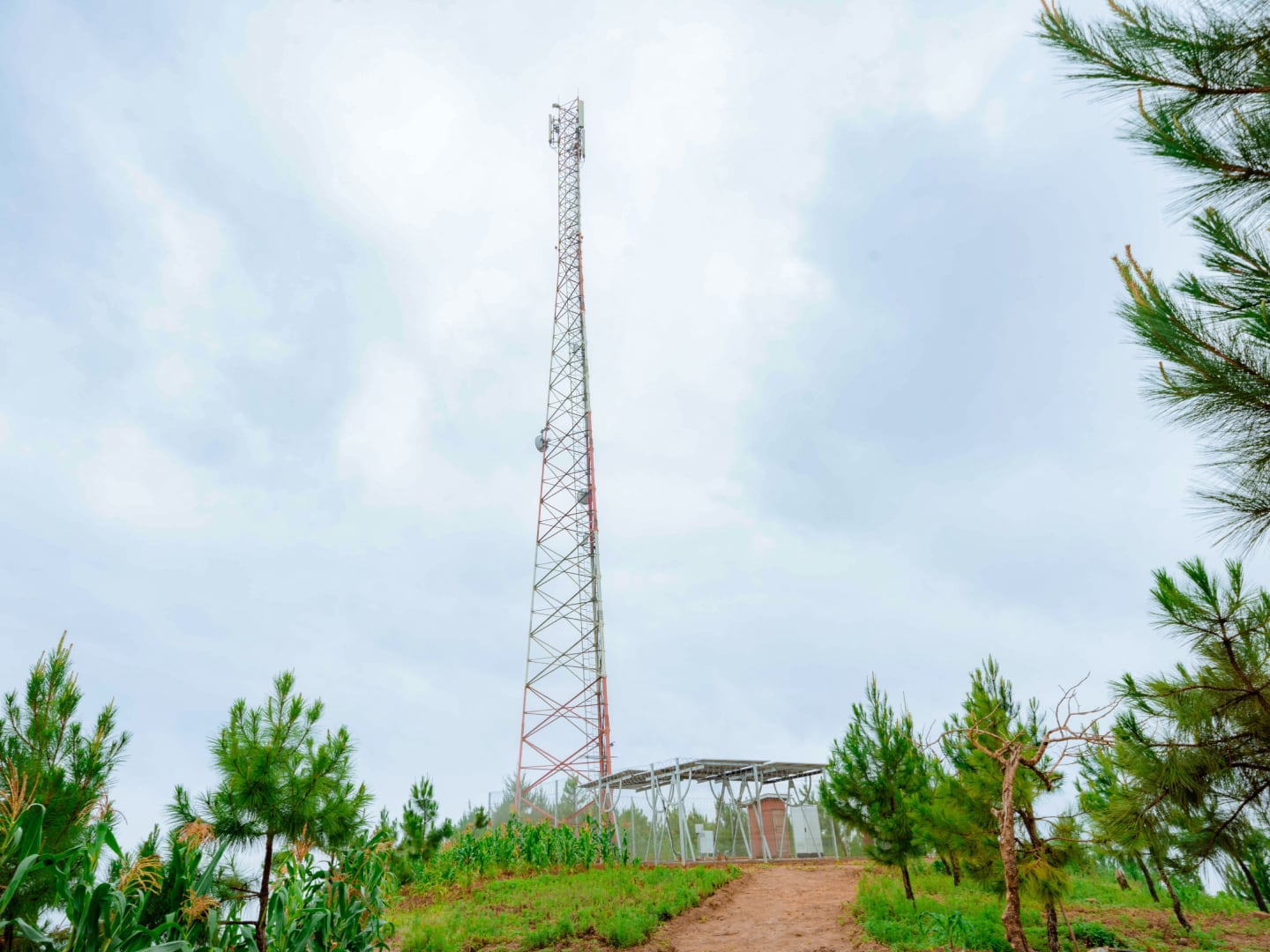 Cell tower on top of a small hill