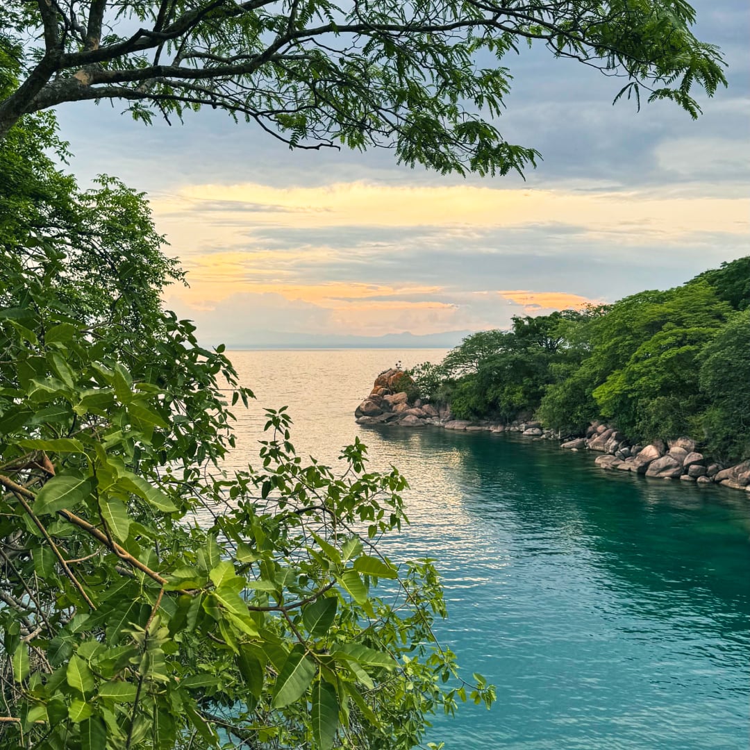 View onto a body of water from lush green shores