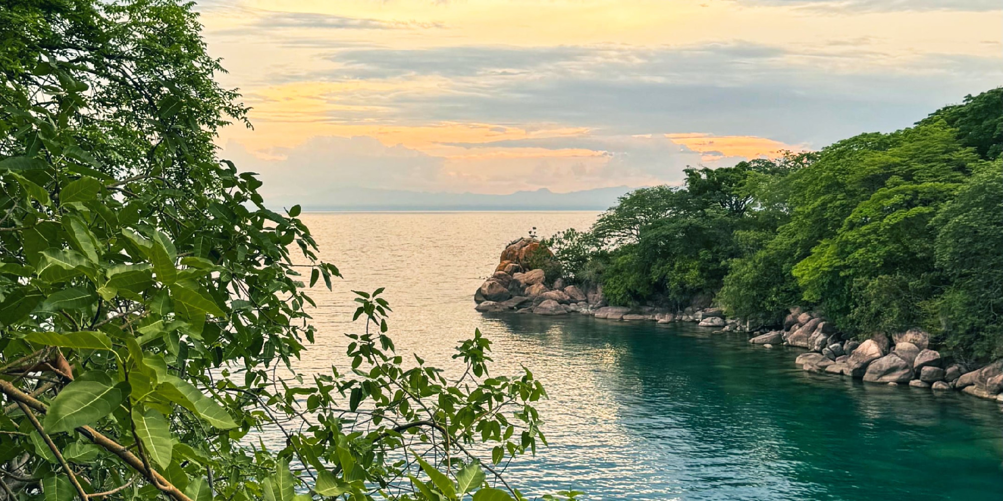 View onto a body of water from lush green shores